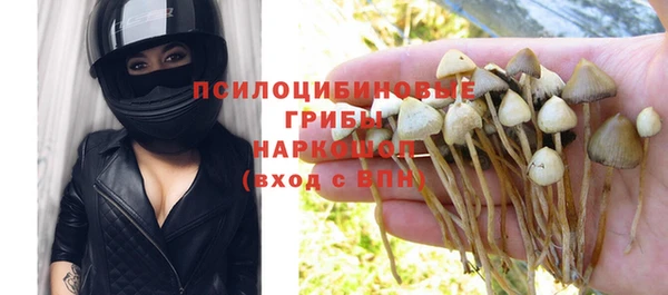 Альфа ПВП Богданович