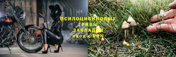 Альфа ПВП Богданович